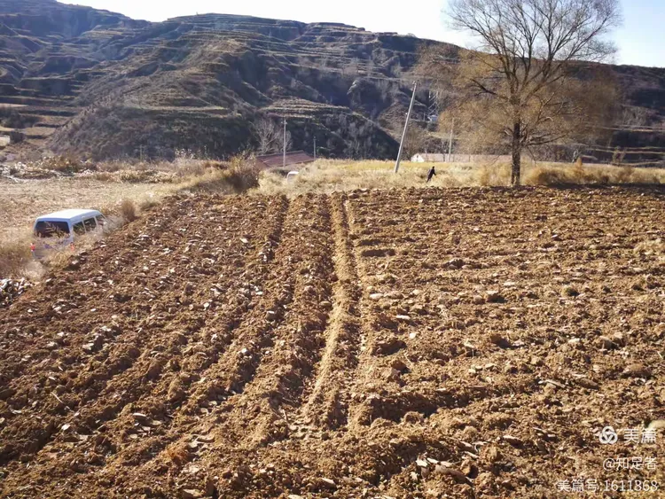 家乡的——路——土地——草2017.11.18